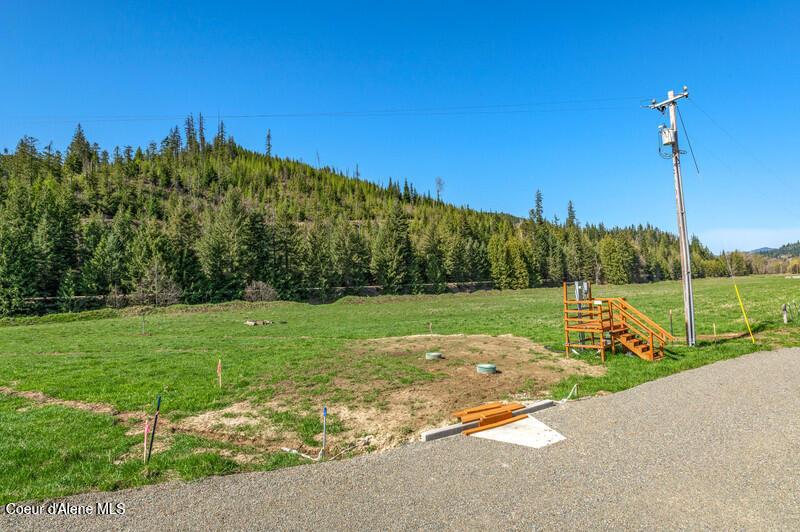 Image 4: Community Clean Out