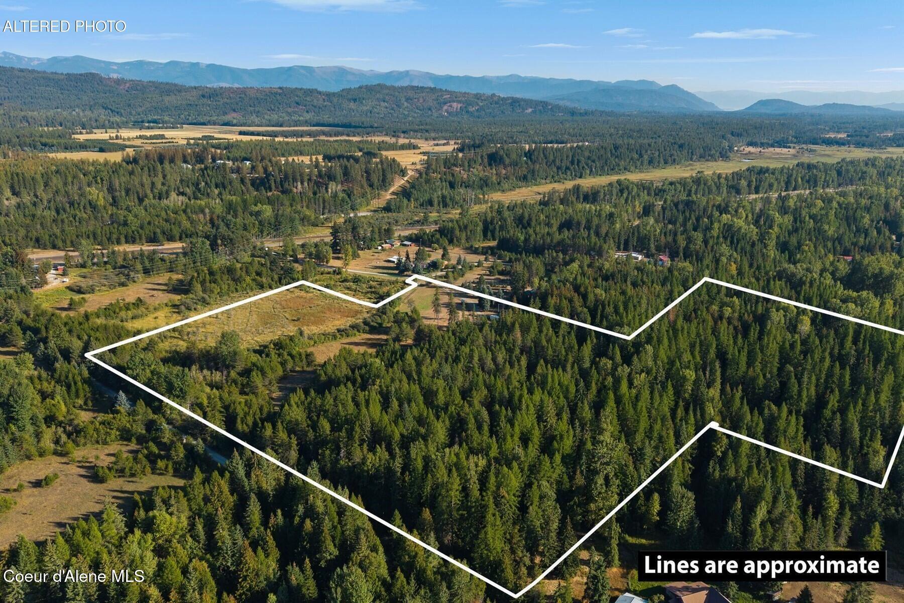 Image 3: Lush Forest and Pasture