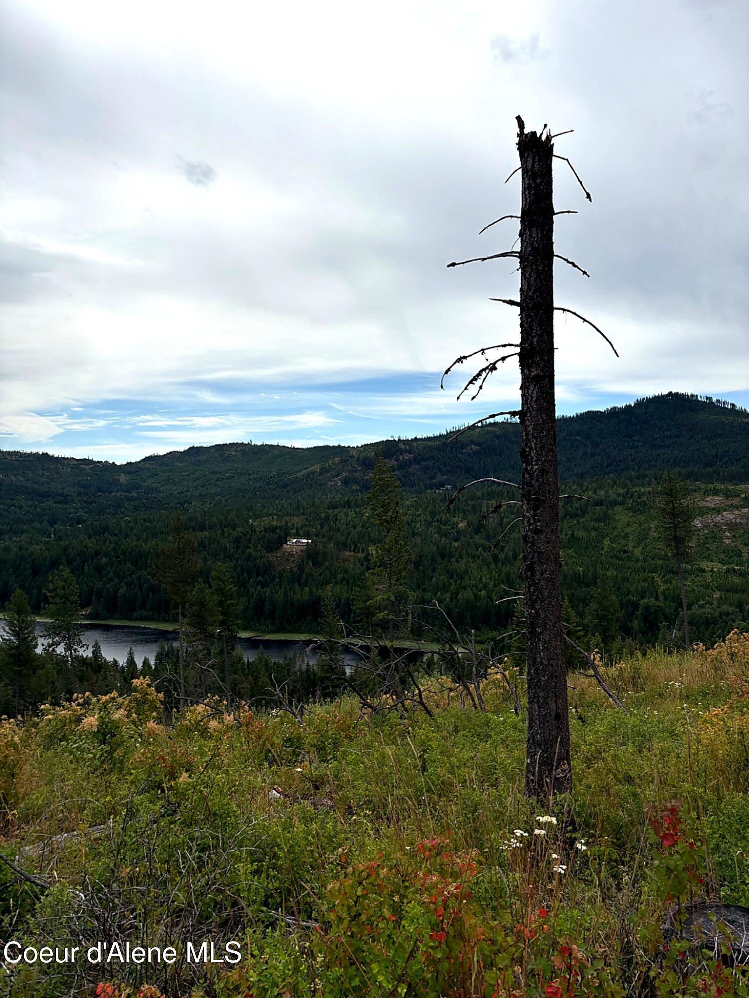 Image 3: IMG_0777(2)_MLS