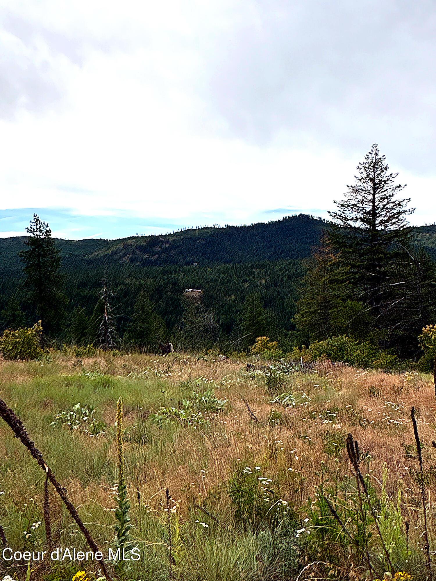 Image 4: IMG_0824_MLS