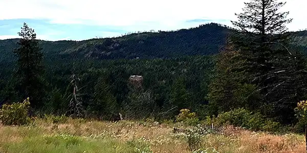 Image 4: IMG_0824_MLS