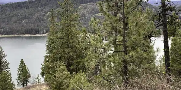 Image 3: elevatedview - Copy