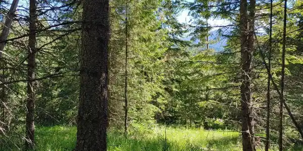 NKA Railroad Grade Rd