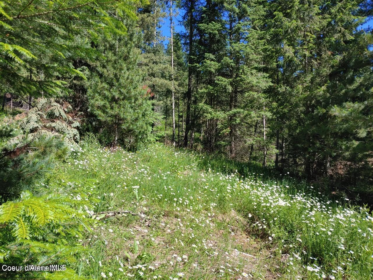 Image 2: railroad 7