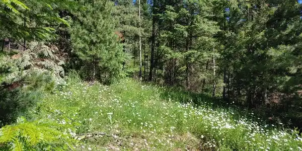 Image 2: railroad 7