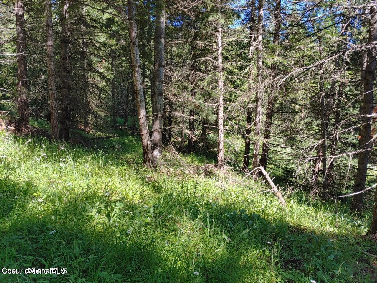 Image 3: railroad 6