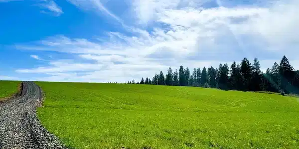NKA Butte Lane Lot 2