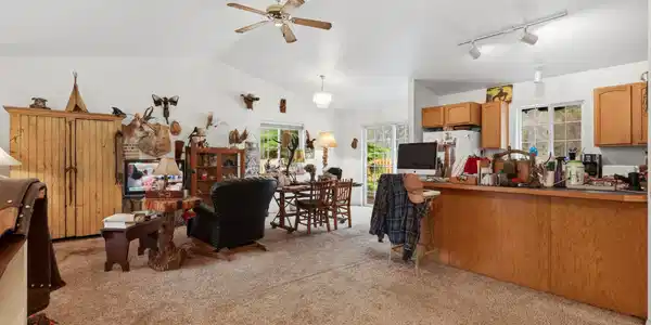Image 4: Living Room