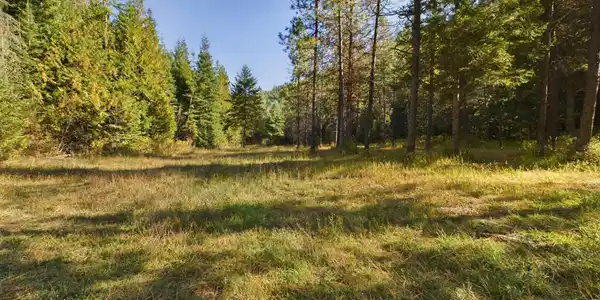 Image 4: 4