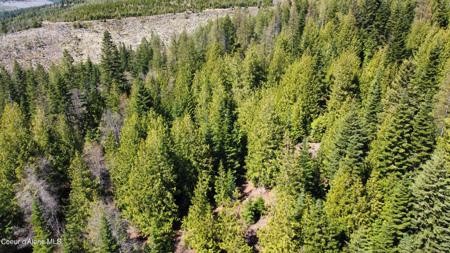 NKA Alder Creek