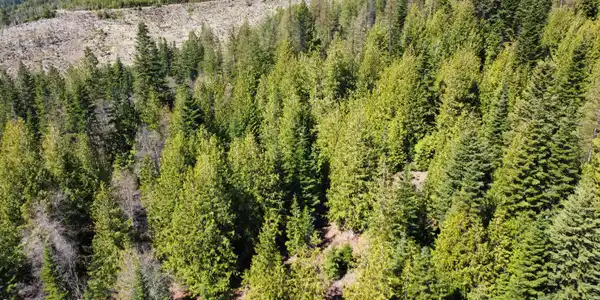 NKA Alder Creek