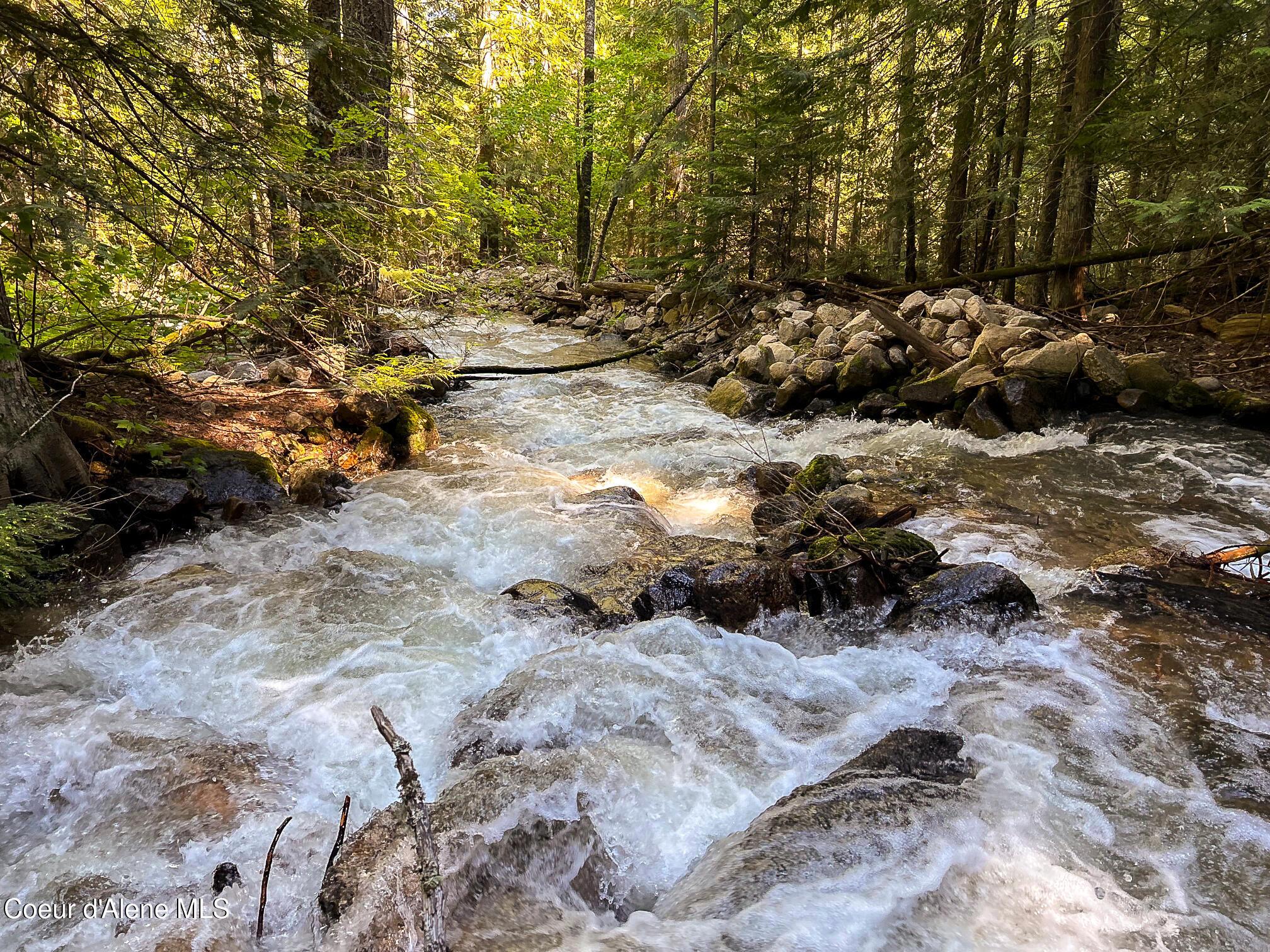 Image 3: Schweitzer Creek Runs Through