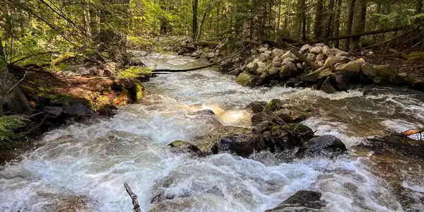 Image 3: Schweitzer Creek Runs Through