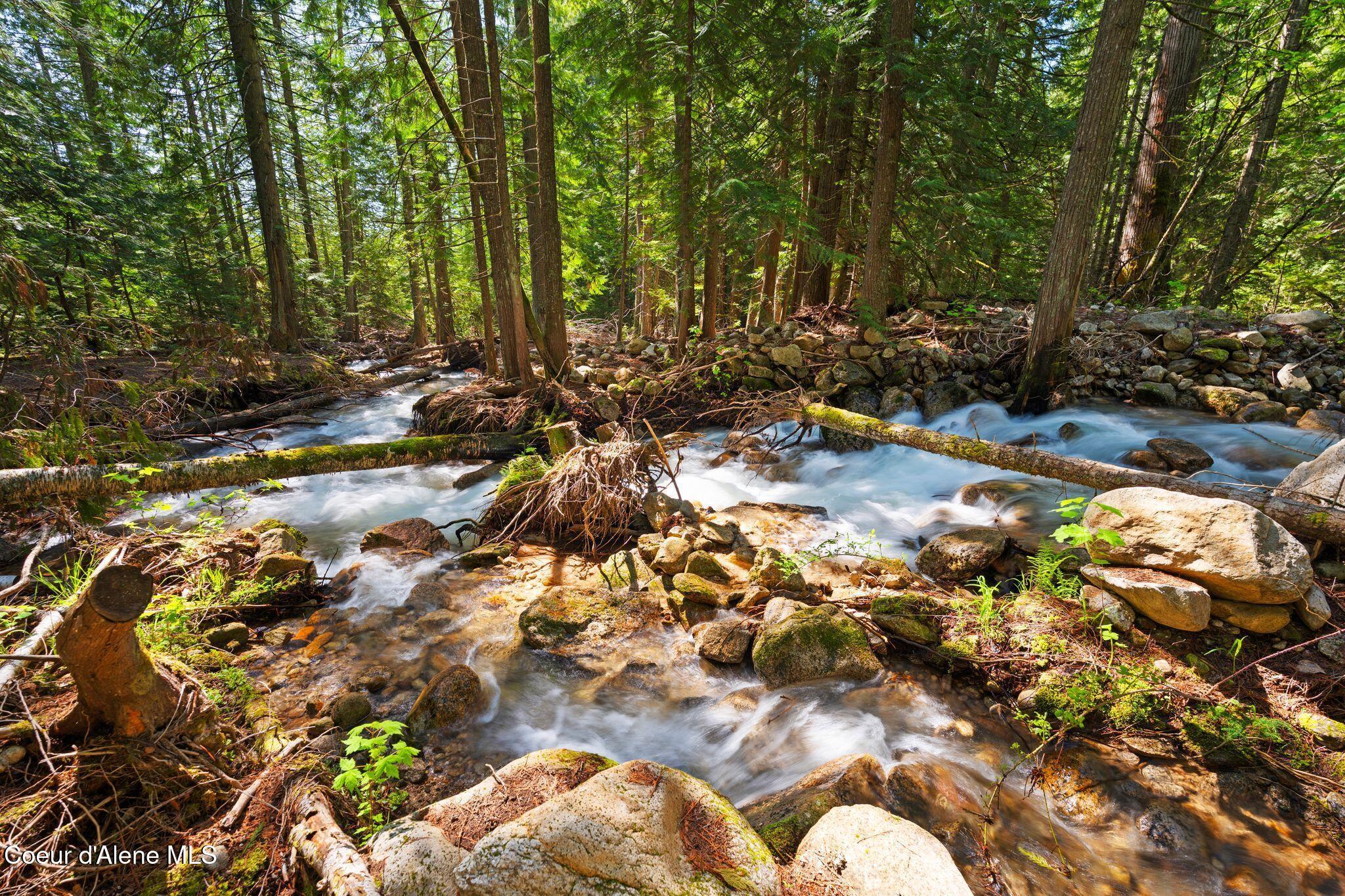 Image 4: Property Overlooks Rushing Schweitzer