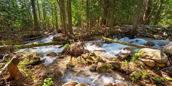 Image 4: Property Overlooks Rushing Schweitzer