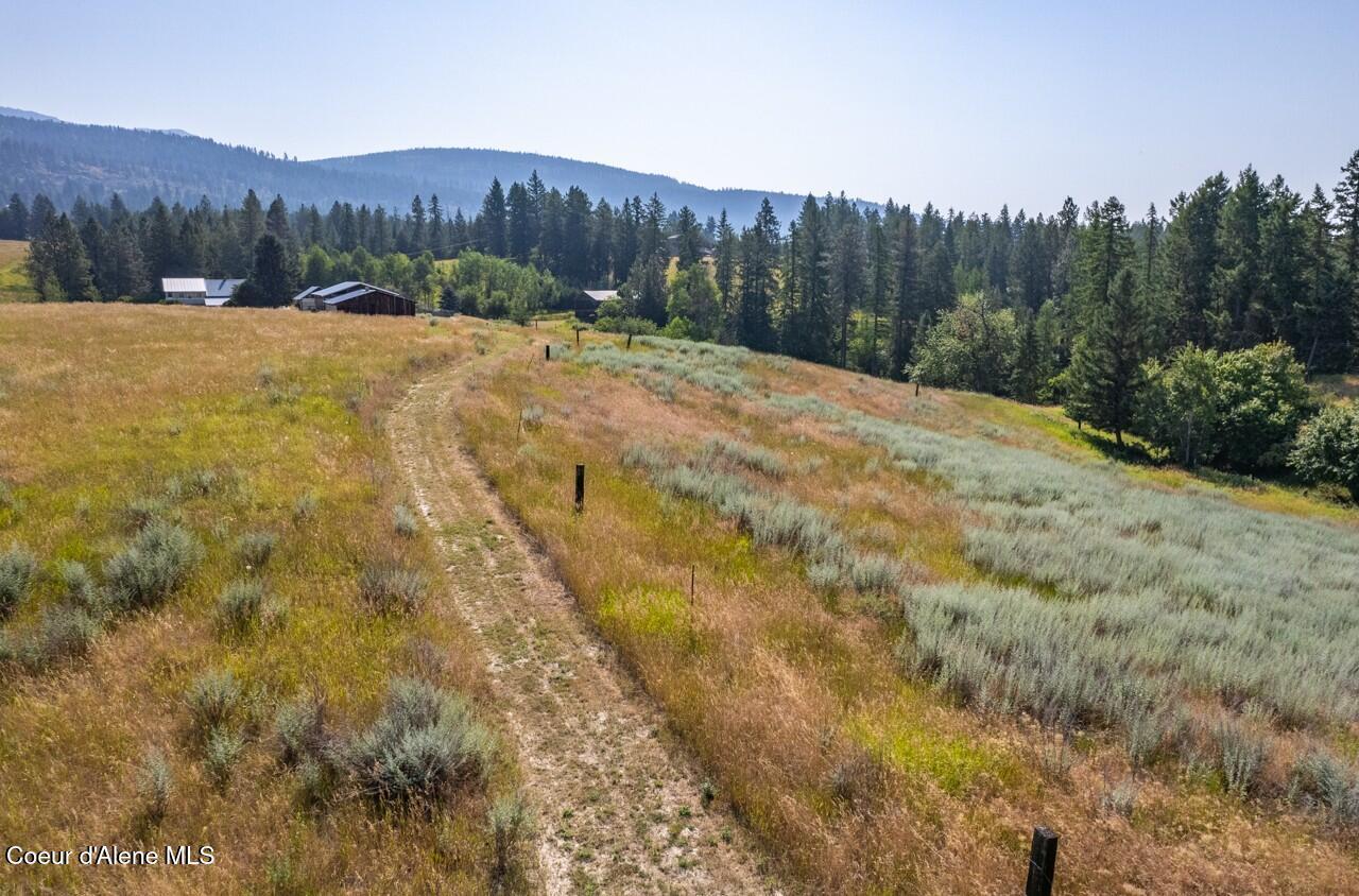 Image 3: Escalante0003