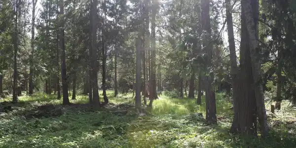 Lot 3 Riverlake Drive