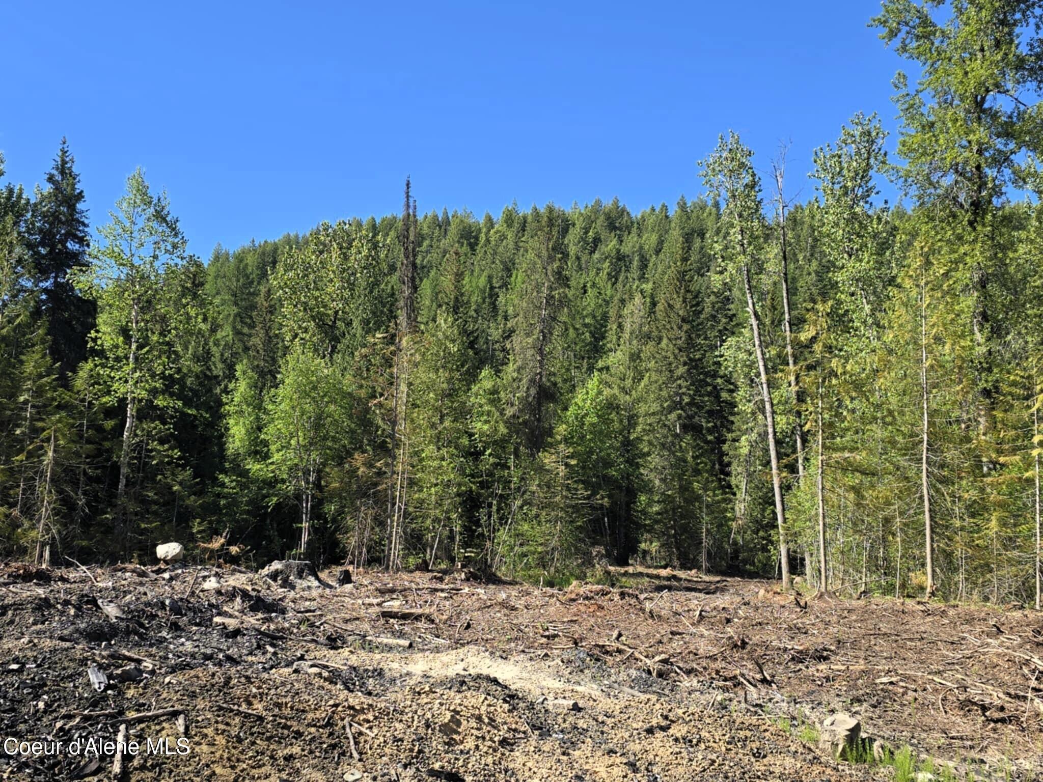 Image 4: NNA Old Highway Two Loop