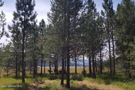 NNA Ponderesa Ranch Rd
