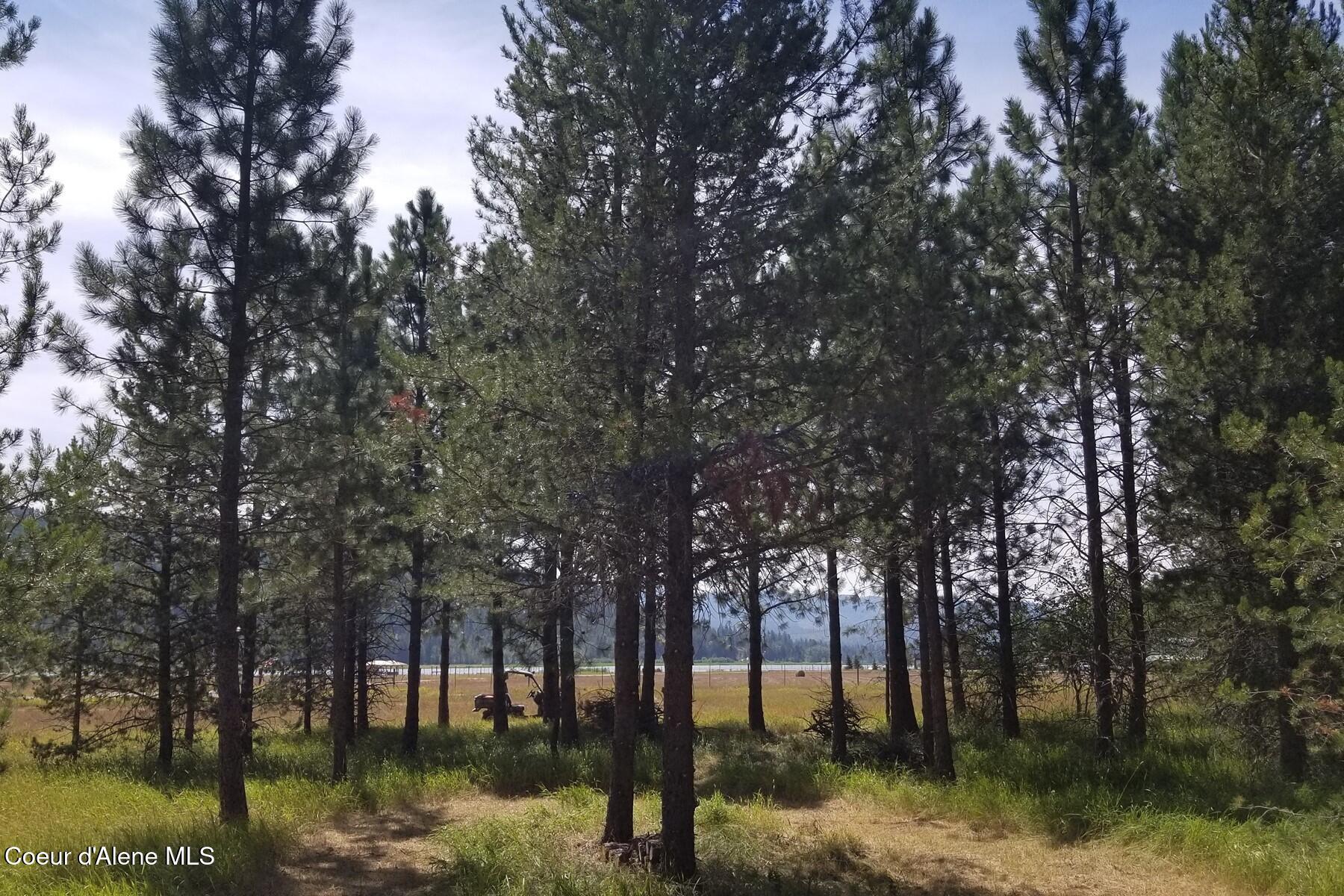 Image 1: 5 Acres