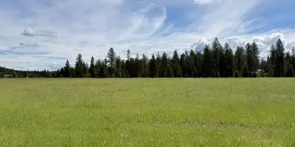 Image 2: Big beautiful sky and level land.