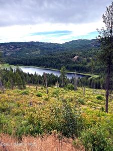 Lot 4 Dollar Creek Dr