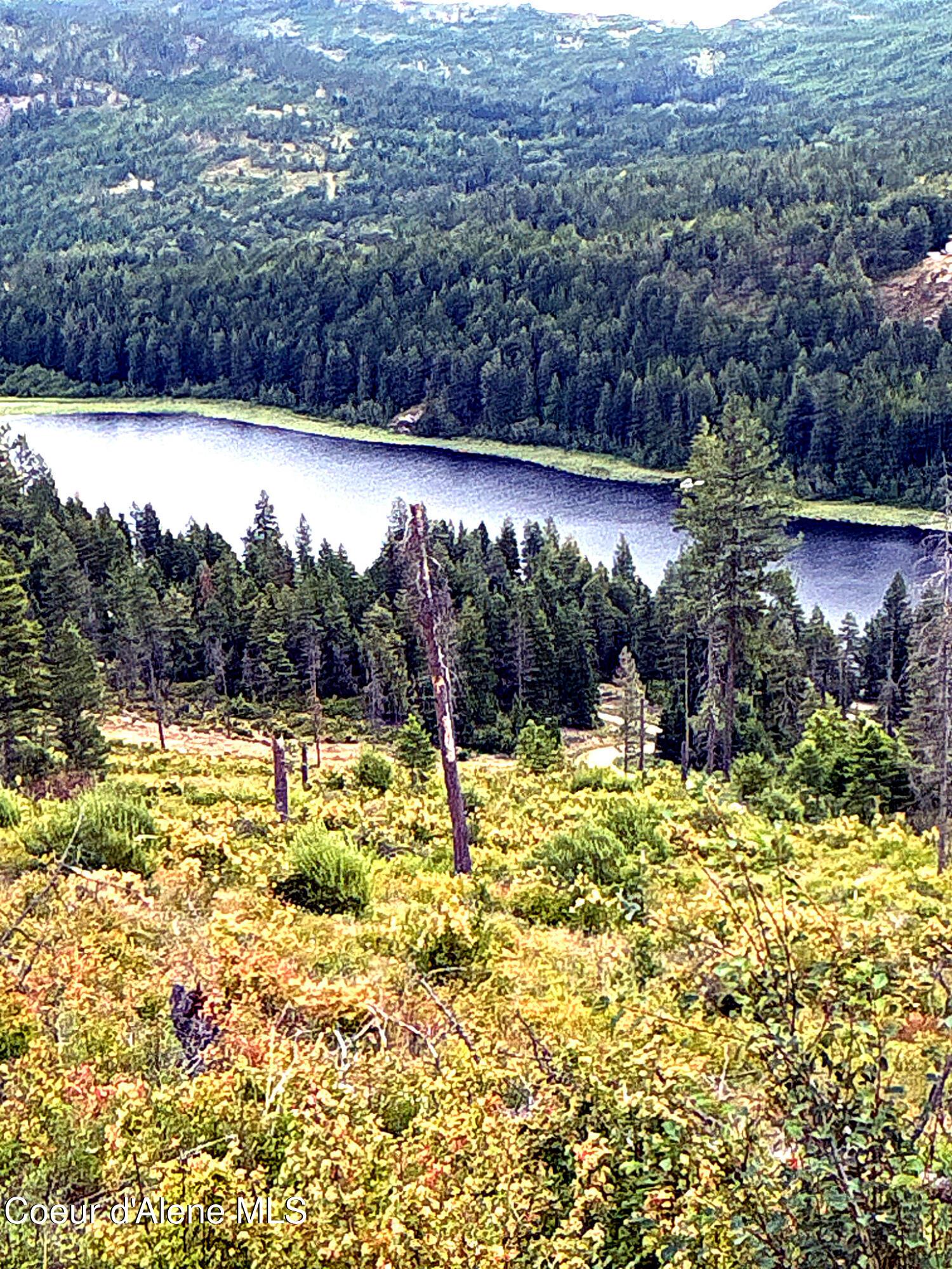 Image 3: IMG_0823_MLS