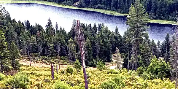 Image 3: IMG_0823_MLS