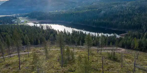 Image 4: NWLL Jewel Lake-24