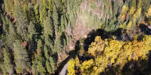 Image 2: dji_fly_20251022_093630_934_176115114185