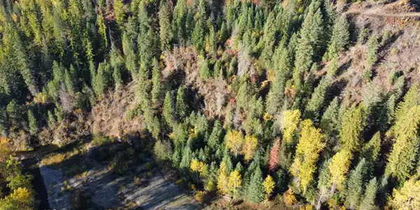 Image 4: dji_fly_20251022_093718_936_176115113416