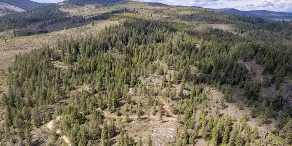Image 3: 003-1131CabinRidgeRoad-SpiritLake-ID-838