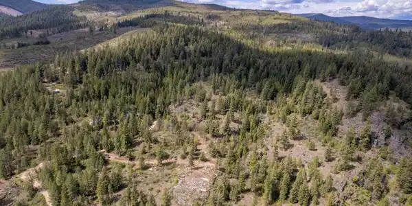 Image 4: 004-1131CabinRidgeRoad-SpiritLake-ID-838