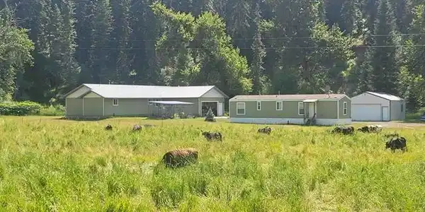 437 Clearcreek Rd
