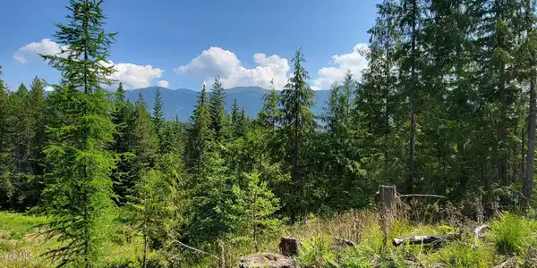 Image 3: 20250624_104418