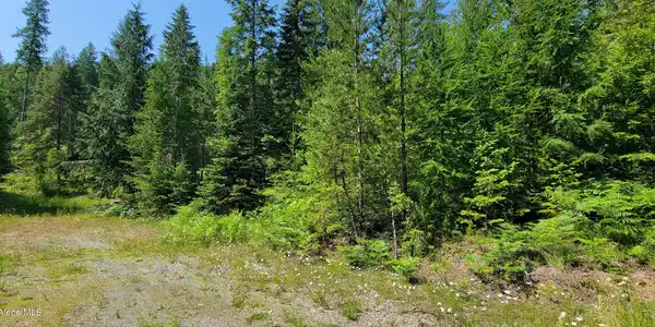 Image 4: 20250624_103444