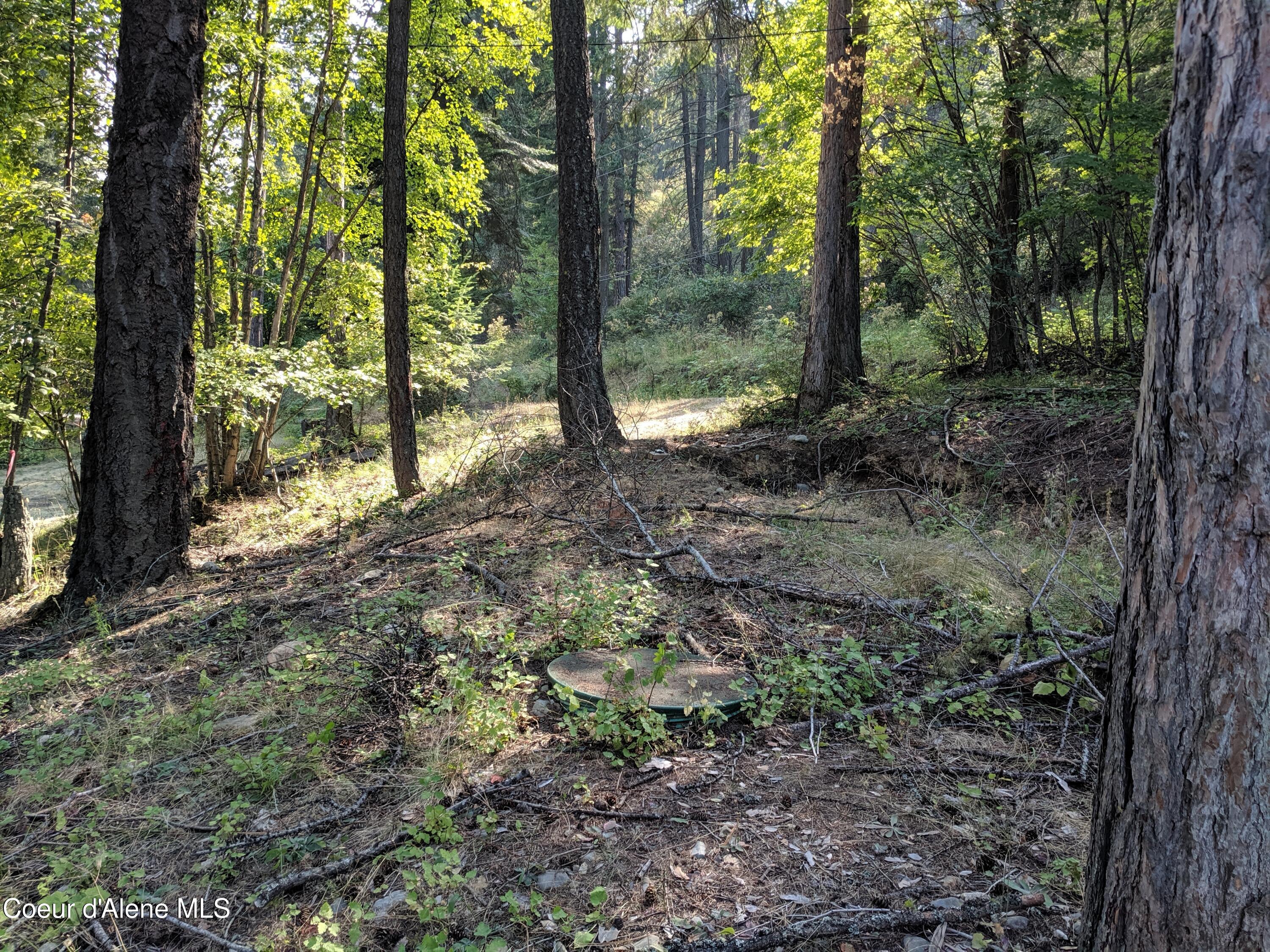 Image 4: Lot