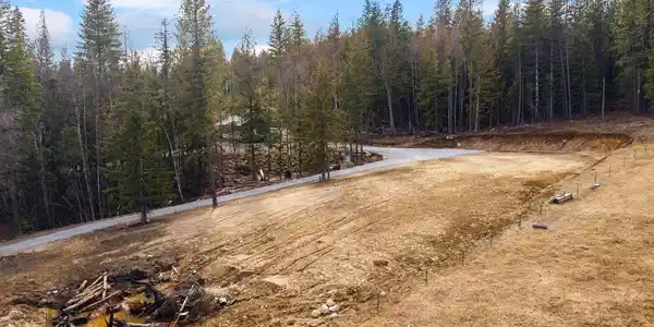 Image 4: 004_4_DJI_20260310055855_0246_D
