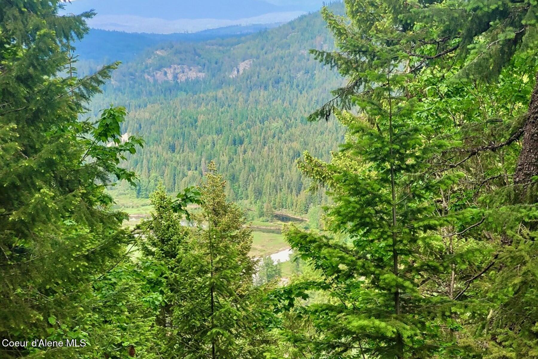 Image 2: NNA Lower Pack River Road