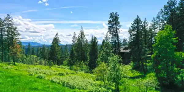 Image 3: Picturesque Surroundings