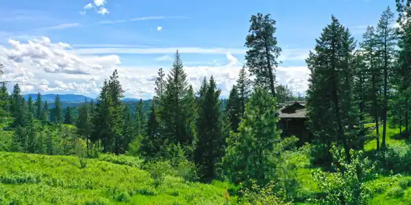 Image 4: Scenic Views