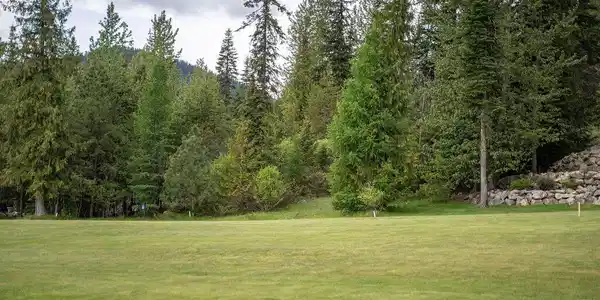 Image 4: Brad'sLot-3