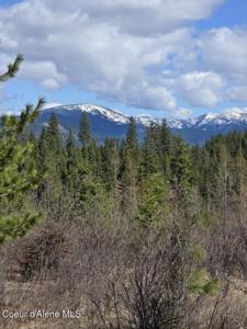 NKA Mutch Creek Road