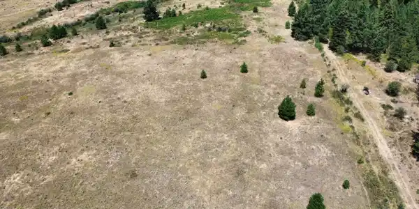 Image 4: dji_fly_20250731_132410_857_175399346047