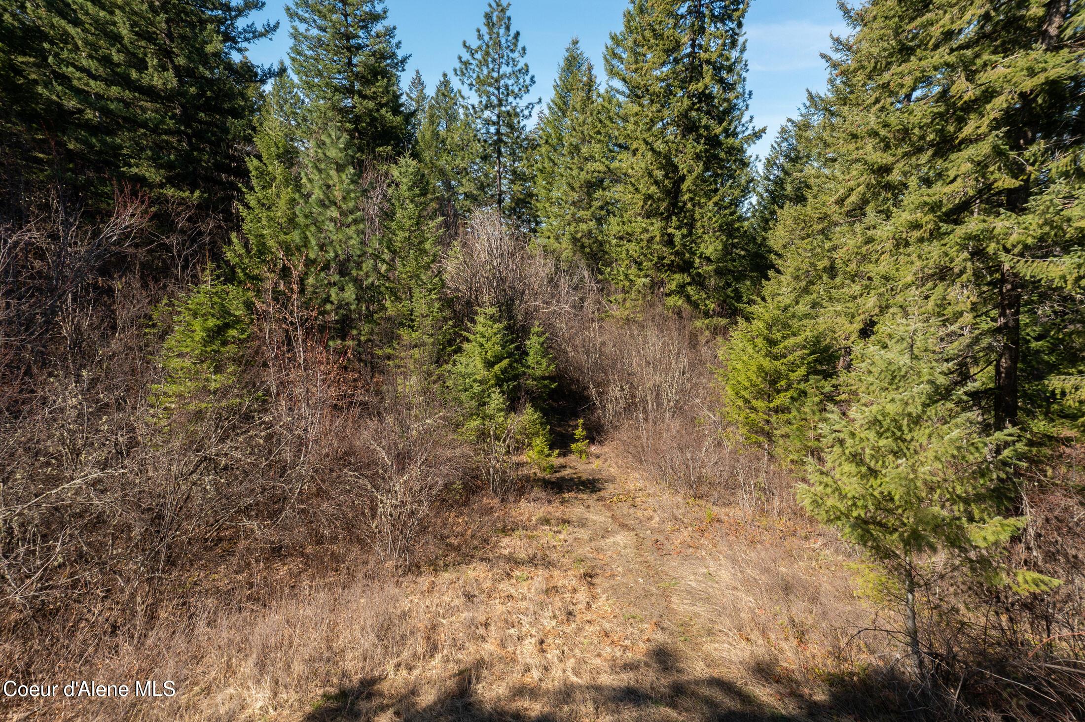 Image 3: DJI_0509-HDR-1