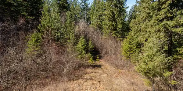 Image 3: DJI_0509-HDR-1