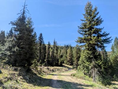 NKA Sheep Creek Rd