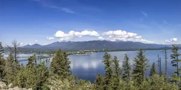 Image 2: 2
