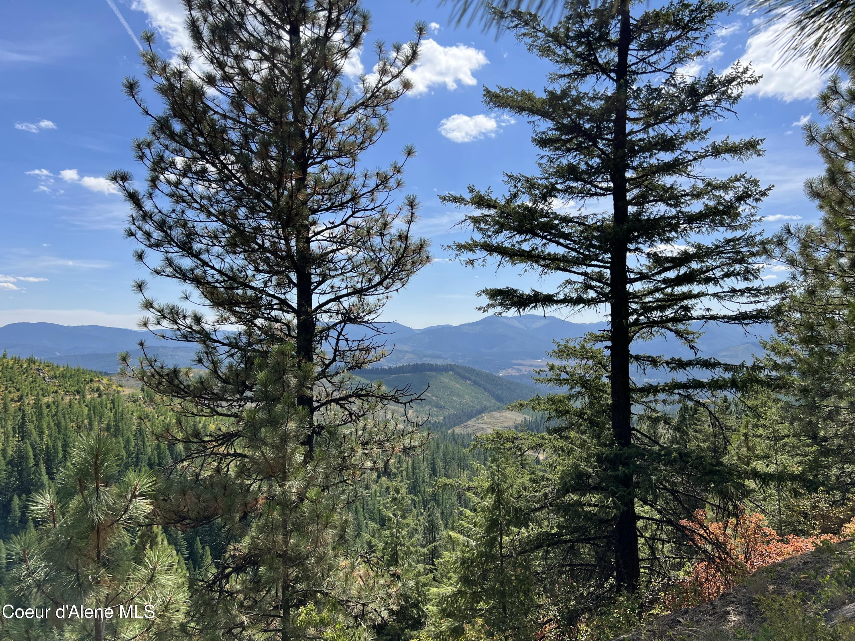 Image 1: Upriver View
