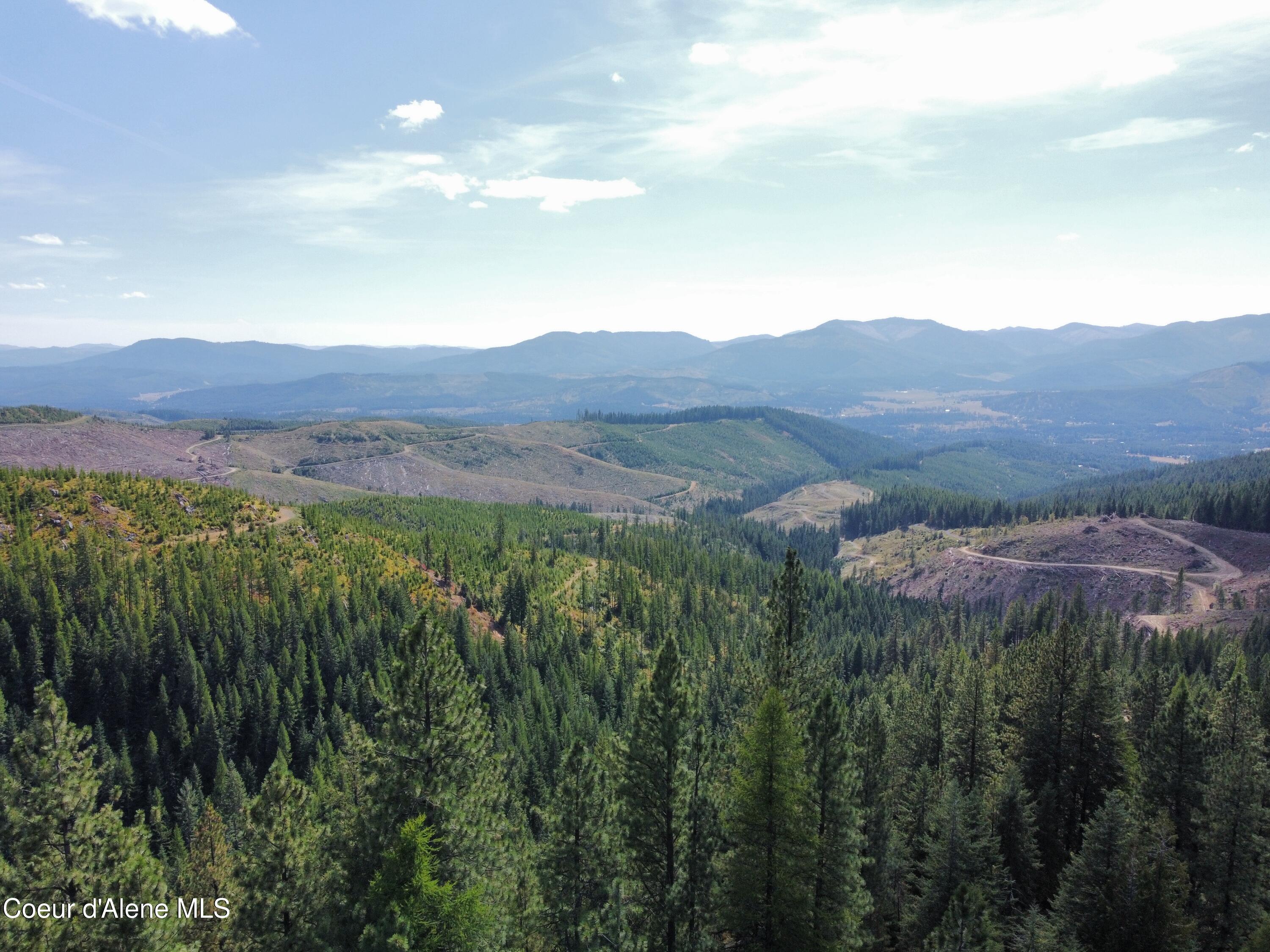 Image 2: dji_fly_20240826_144150_399_172470852962